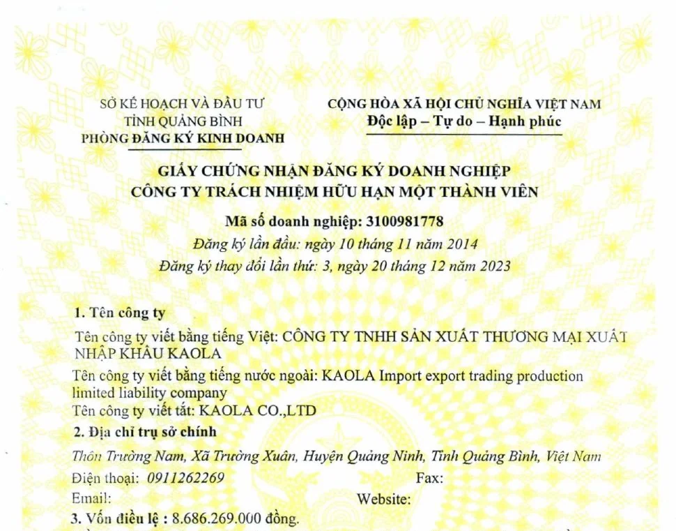 Public preview of KAOLA's Vietnamese business registration