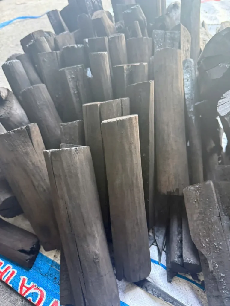 Eucalyptus black charcoal pieces photographed in the KAOLA product library