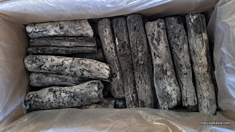 Eucalyptus Binchotan sticks inside an export carton at KAOLA Vietnam