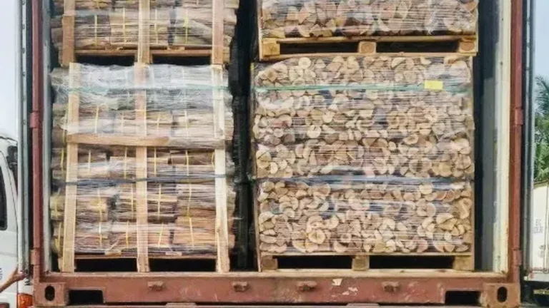Export firewood container loading in Vietnam by KAOLA