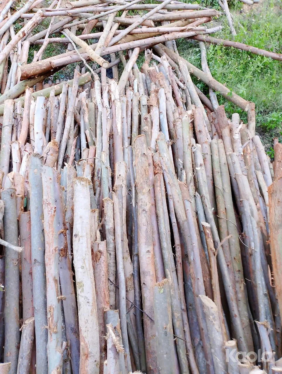 Wood Selection