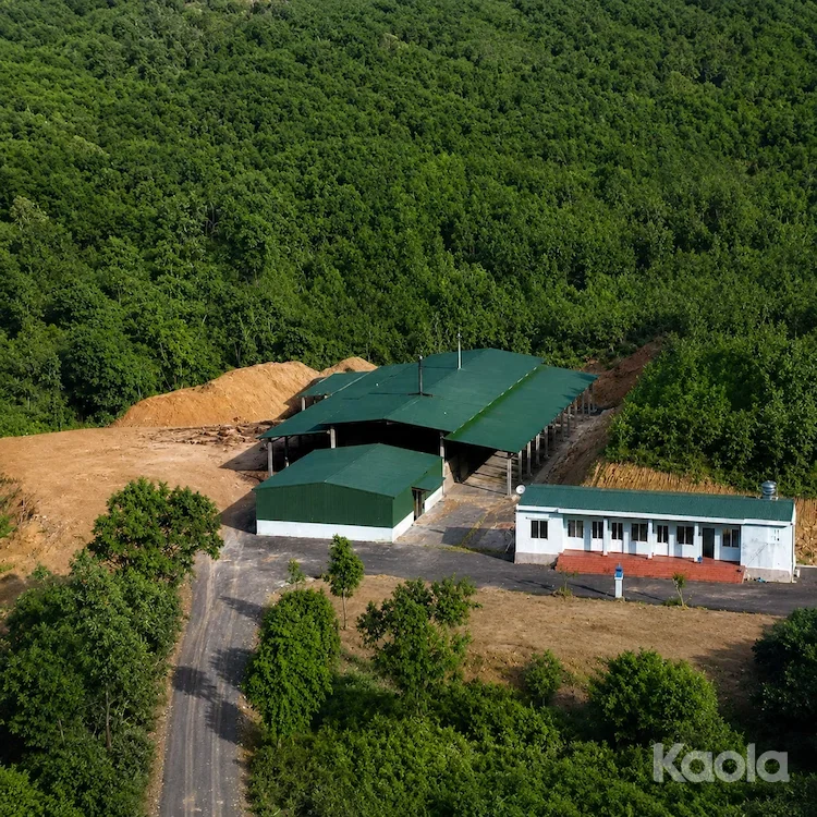 Kaola Factory Quang Tri