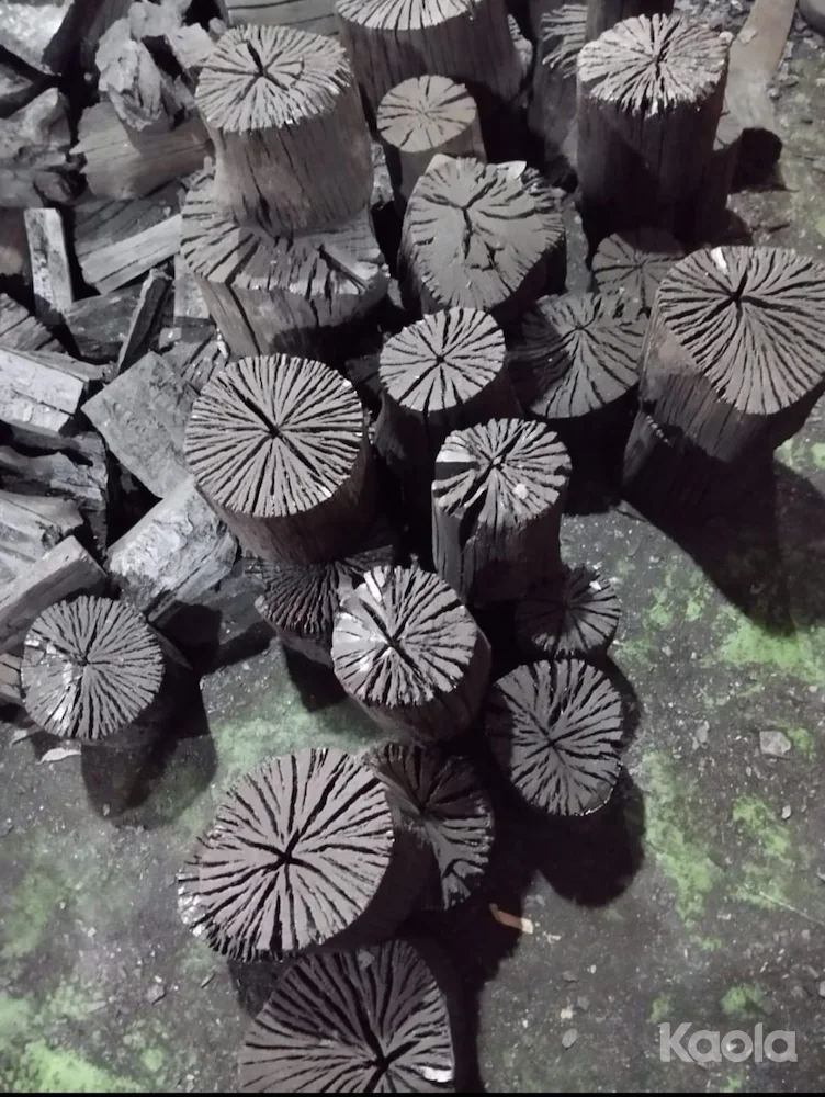 Eucalyptus Softwood Charcoal
