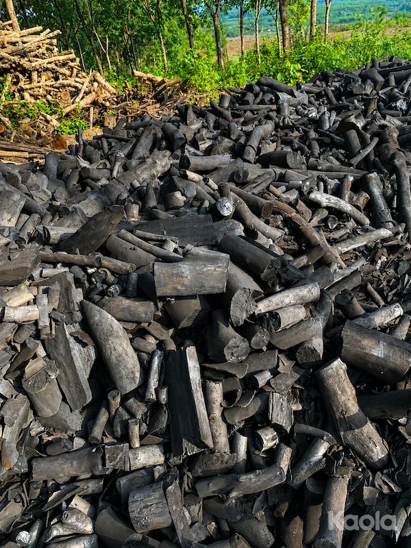 Longan Hardwood Charcoal