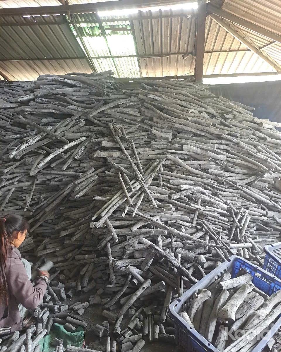 Binchotan White Charcoal