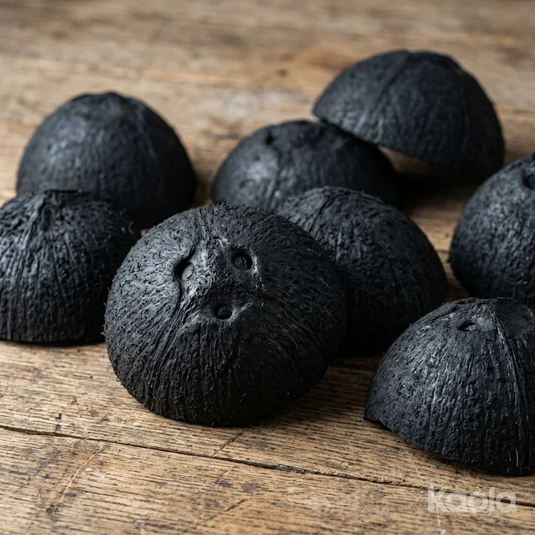 Raw Coconut Lump